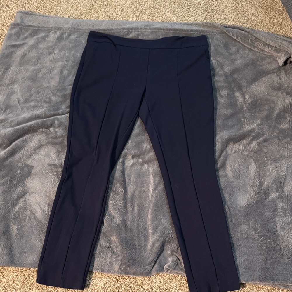 Hilary Radley Navy Pants